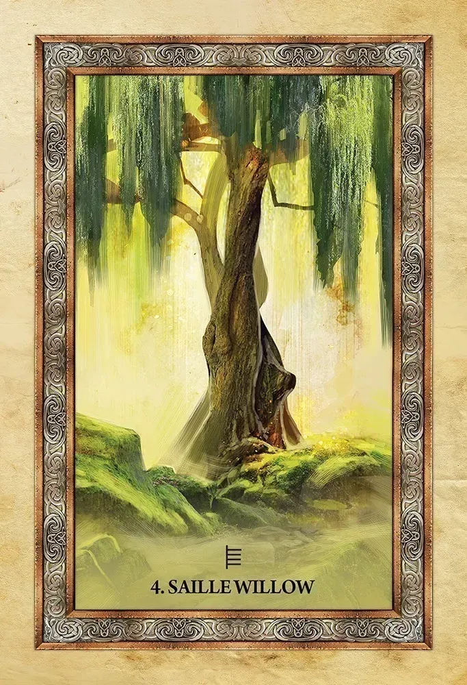 Celtic Tree Oracle Cards